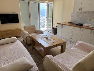 Panorama view Budva apartment - Budva - 5