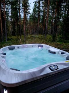 Villa Alpine Eagle by Aavalevi Holidays - Levi - 8