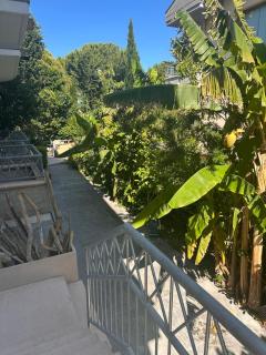 Apartment in the Green - Cattolica - 6