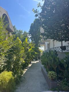 Apartment in the Green - Cattolica - 5
