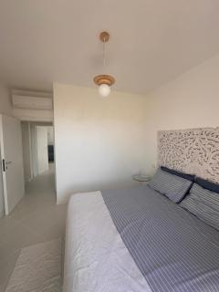 Apartment in the Green - Cattolica - 3
