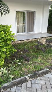 Fumba Homes - - 6