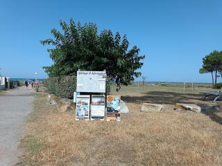 havre de paix au bord de mer - Casa Marina - Borgo - 2