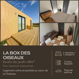 La Box des Oiseaux - Gamarde-les-Bains - 0