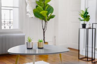 63 m2 Apartment Parisian charm ideal for work and relaxation - Clichy - 9