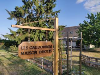 Les Gaudouines - Saint-Mathurin - 0