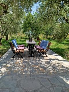 Green Olive Studios 2 - Agios Mamas - 3