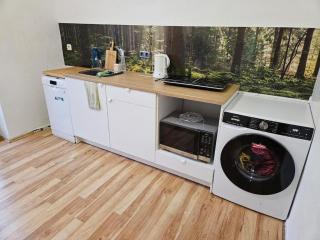 Sonnenstein flat with 3 bedrooms & free VVO ticket - Pirna - 1