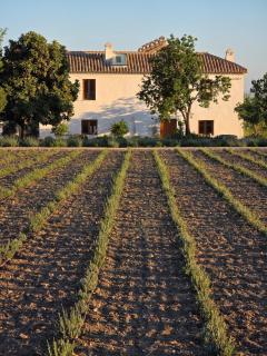 Cortijo de la Seda - Granada - 3