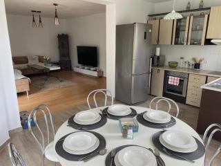 Vacation Home with Garden - Sînmartin - 1