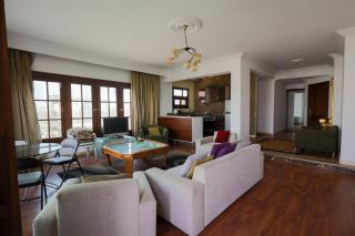 Cosy Apt with Panoramic Pyramids & Museum view - Cairo - 1