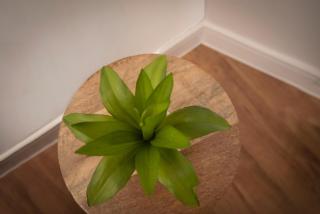 Cosy 2-Bed Apartment in Penarth Town Flat 1 - Cardiff - 2