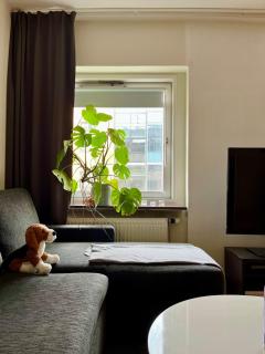 Apartment in the Heart of the City - Stockholm - 9