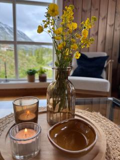 Gausta Lodge med 6 sengeplasser i nærhet til Gaustatoppen - Gaustablikk - 7