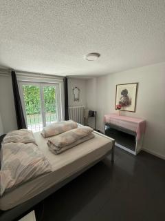 Sunny Home near Zurich Airport - Zurigo - 7