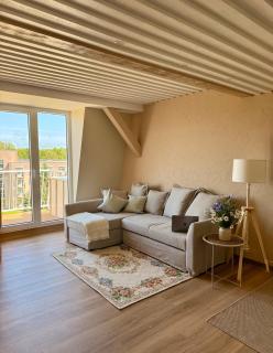 Jūros butas - du miegamieji ir svetainė su sofa lova - Palanga - 0