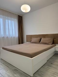 Oradea Nest Cozy Apartment - Oradea - 2