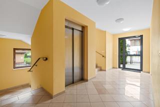 HoliApart in Gdańska 52 - winda, przyjazny czworonogom - Krynica Morska - 3
