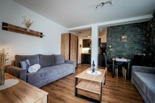 Aparteo Apartamenty Strzelców Podhalańskich 4D - Kościelisko - 8