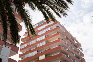 Los Tajinaste - 6