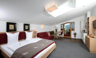 Jagdhof Ligedl - Mayrhofen - 9