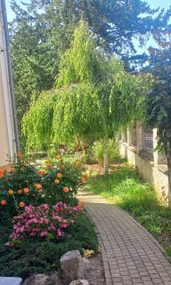 Villa Walir - Spa Hotel Garni SUPERIOR - Mariánské Lázně - 7