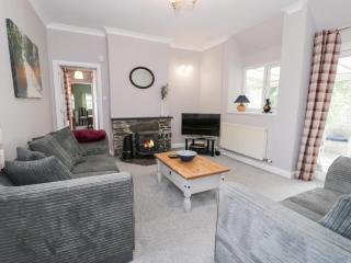 Dyffryn Bach - Rug - 9