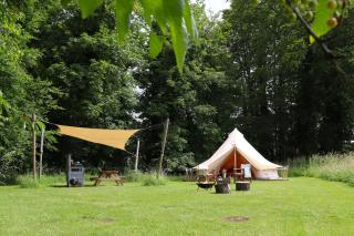 Iris - Swannington - 3