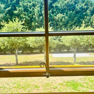 Stratford Bespoke Shepherd Hut - Snitterfield - 4