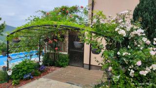 Villa Farah - Semizovac - 7