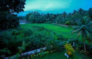 U K W Villa Ahangama - Ahangama - 6