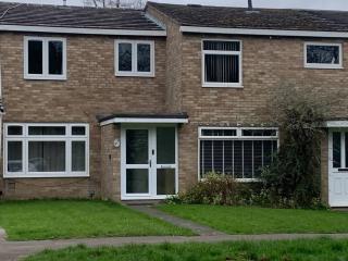 Stylish 3BR Retreat Family & Business Parking - Caversham - 4