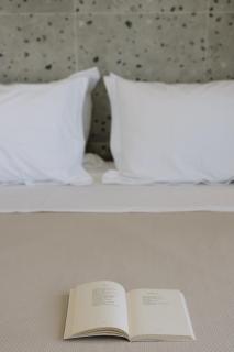 Naxos Finest Villa with Private Pool and Hot Tub at MIKRI VIGLA, Naxos - 2