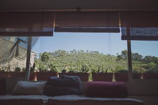 Maison atypique avec vue colline & terrasse cocoon - Montfort-sur-Argens - 2
