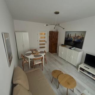Leczkowa Apartment - Danzig - 5