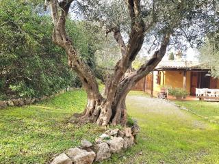 Casa Fiordaliso - 7