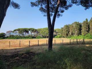 Casa Fiordaliso - 6