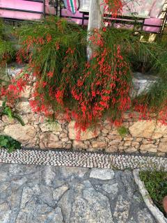 Courtyard - Kalkan - 7