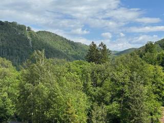 Bergtraum Schwimmbad, Sauna, Familienbett, Kinderbett, 2 Bäder - 1