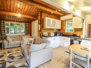 Swn Yr Afon - No 333 - Trawsfynydd - 3