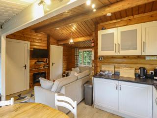 Swn Yr Afon - No 333 - Trawsfynydd - 1