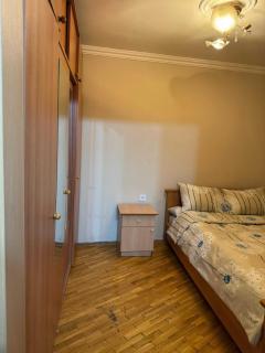 Central Apartment Near Everything - Baku - 5