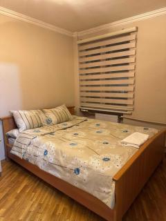 Central Apartment Near Everything - Baku - 2