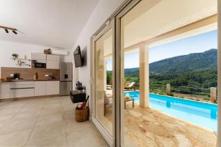 MY DALMATIA - Sea view Villa Amaria with private pool - Svirče - 1