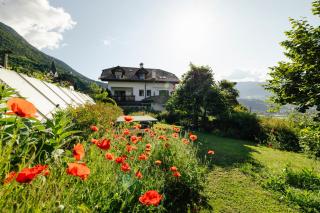 Hofer am Bach - Algund - 1
