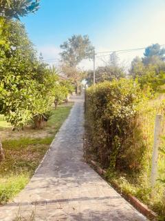 Villa Rosanna - Villammare - 4