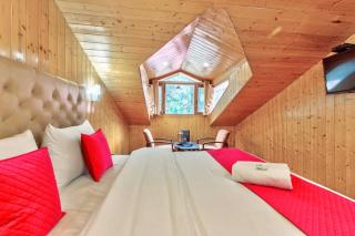 Hotel Vijayant - By The Mount Heaven - 9