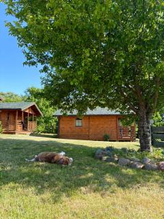 Pod Dziką Jabłonią - 8