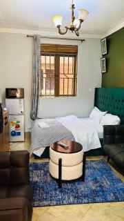 Kampala Studio Apartment1 - Kampala - 9
