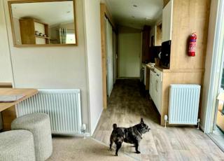 5 Minutes Walk From Beach , Accessible Pet Friendly Caravan With Hot Tub On Coastfields Holiday Village - Skegness - 7